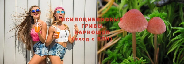 индика Гусь-Хрустальный