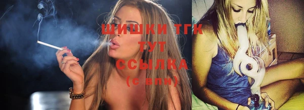 индика Гусь-Хрустальный