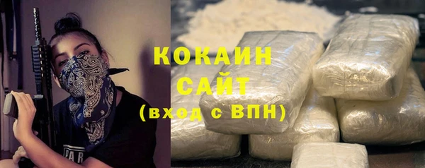 индика Гусь-Хрустальный