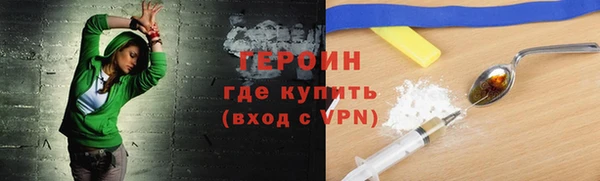 индика Гусь-Хрустальный