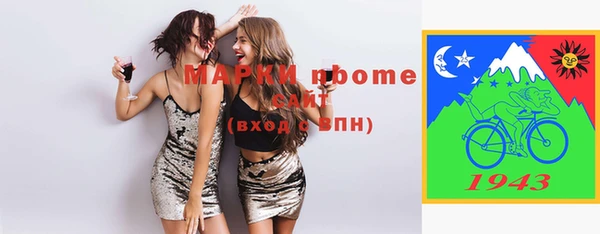 индика Гусь-Хрустальный