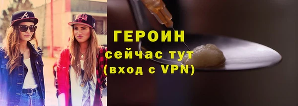 индика Гусь-Хрустальный