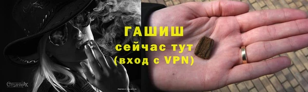 индика Гусь-Хрустальный