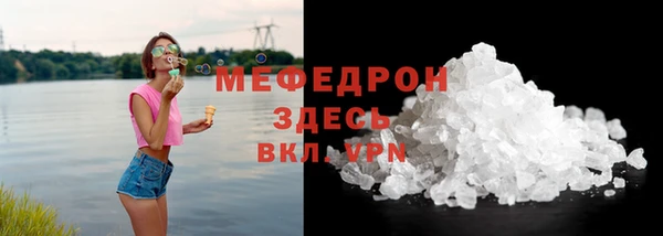 индика Гусь-Хрустальный