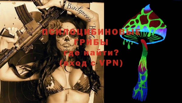 индика Гусь-Хрустальный