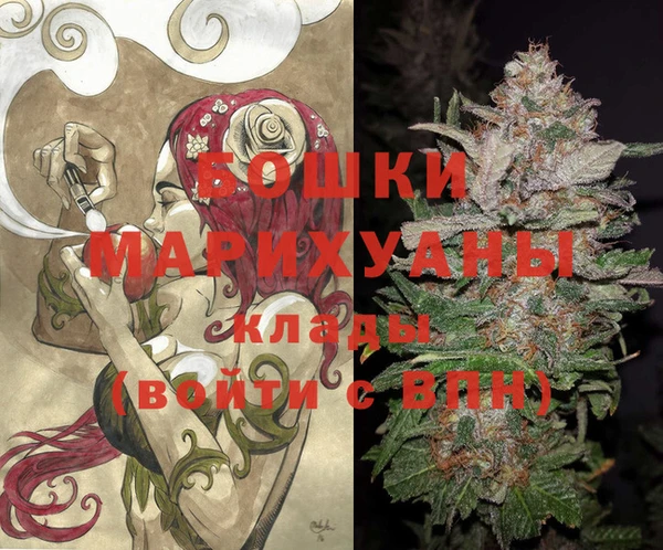 индика Гусь-Хрустальный