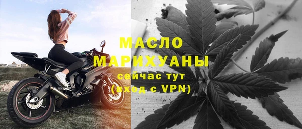 индика Гусь-Хрустальный