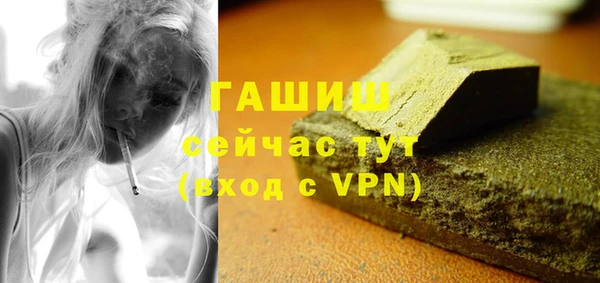индика Гусь-Хрустальный